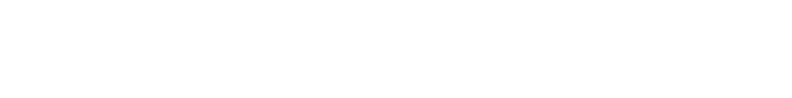 TIEGI Logo