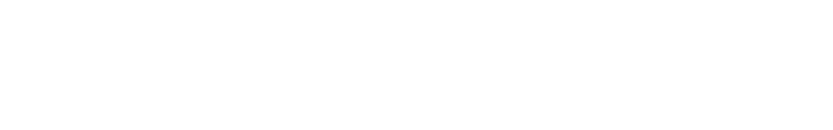 TIEGI